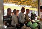 توزیع مرغ منجمد دولتی با قیمت ۶۹۰۰ تومان در ریگان