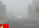 خسارت میلیاردی گرد وغبار در شهرستان ریگان