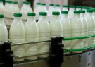 هیچ مستندی مبنی بر وجود آفلاتوکسین در شیر تولیدی استان کرمان نیست/ برخی قصد دارند به اقتصاد کشور لطمه وارد کنند