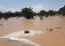 سیلاب به بخش کشاورزی و دامپروری شهرستان ریگان، قریب ده میلیارد تومان خسارت وارد کرد