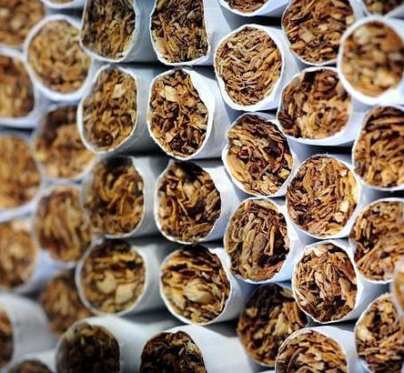 کشف ۳۹ هزار نخ سیگار قاچاق در “ریگان”