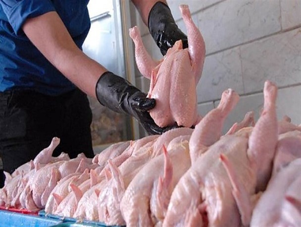پرواز مرغ با بالهای احتکار و ارز ۴۲۰۰ / ثمره بی توجهی به اقتصاد مقاومتی در کف بازار پرواز مرغ با بالهای احتکار و ارز ۴۲۰۰ / ثمره بی توجهی به اقتصاد مقاومتی در کف بازار