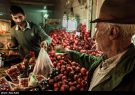 افزایش نظارت‌های ویژه شب یلدا در کرمان/ میوه‌فروشان ملزم به نصب نرخ‌نامه شدند