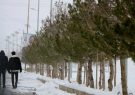 صدور هشدار هواشناسی نارنجی در کرمان؛ بارش باران و برف و وزش تند بادهای لحظه‌ای